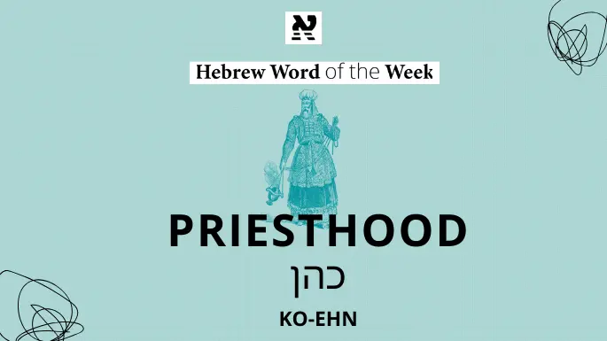 kohen